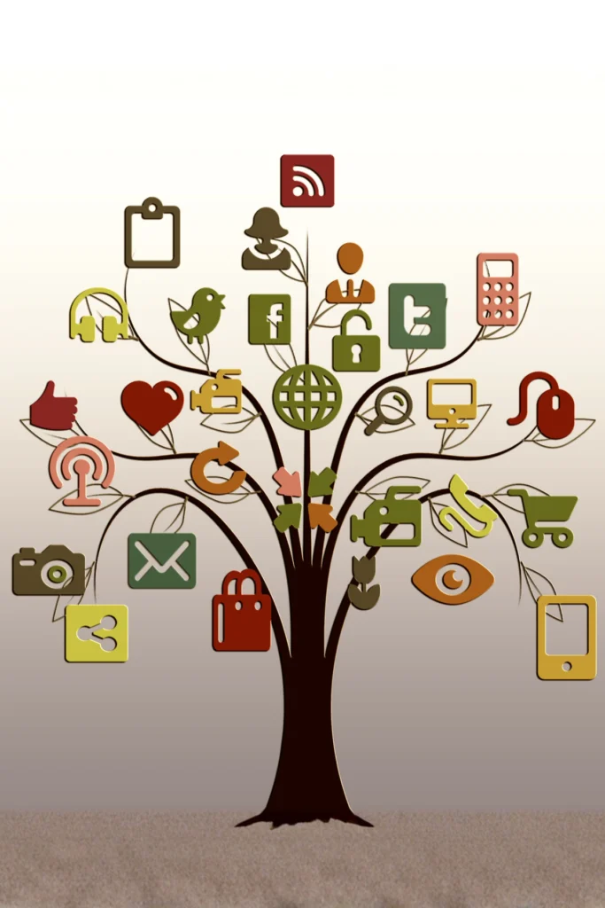 3 Services - SEO, Paid Ads, Web Development